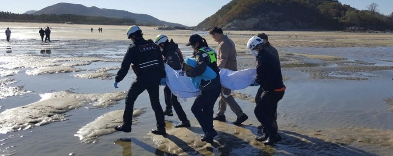 부안해경, 하섬 실종자 구조1.jpg