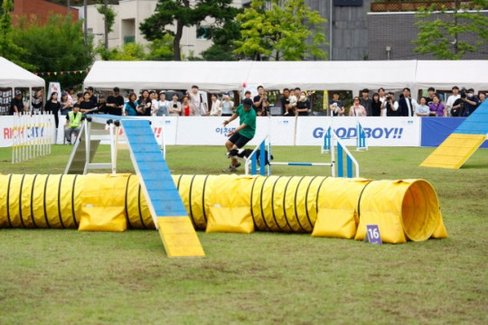 이천, 2025 이천펫축제 성황리에 마무리3.jpg