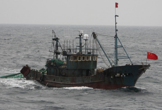 지난 20일 신안군가거도 해상에서 무허가 불법조업을 하고 있는 중국어선.jpg