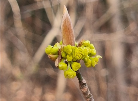 20220322_113739.jpg