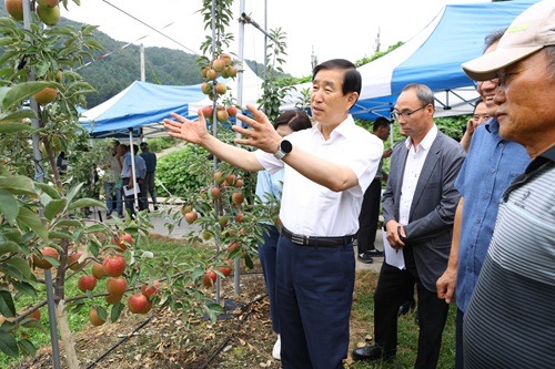 250910 충주시 중생종 사과 이지플.jpg