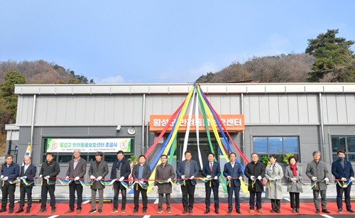 횡성군 반려견.jpeg